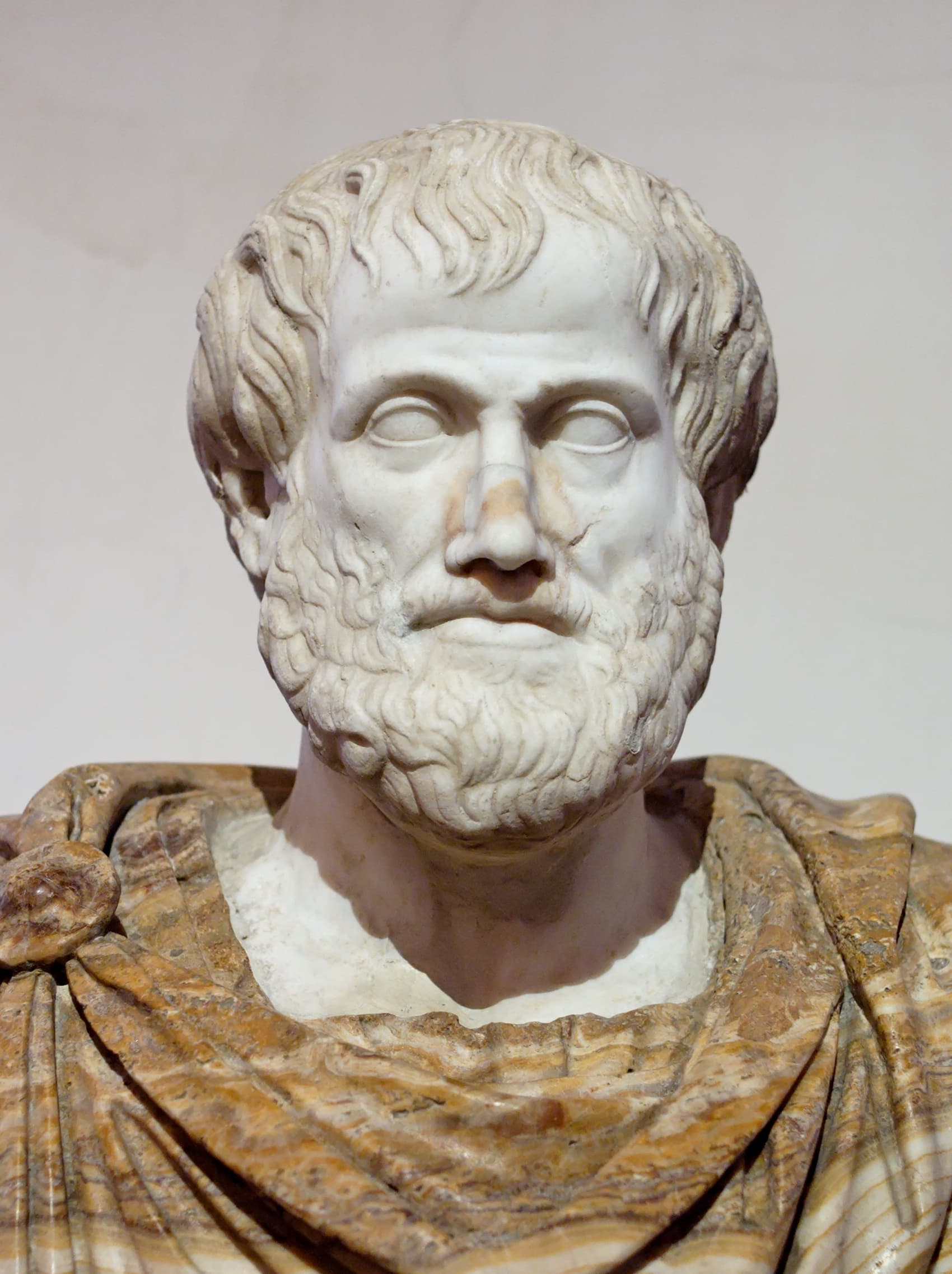 Aristotle (384–322 BC)
