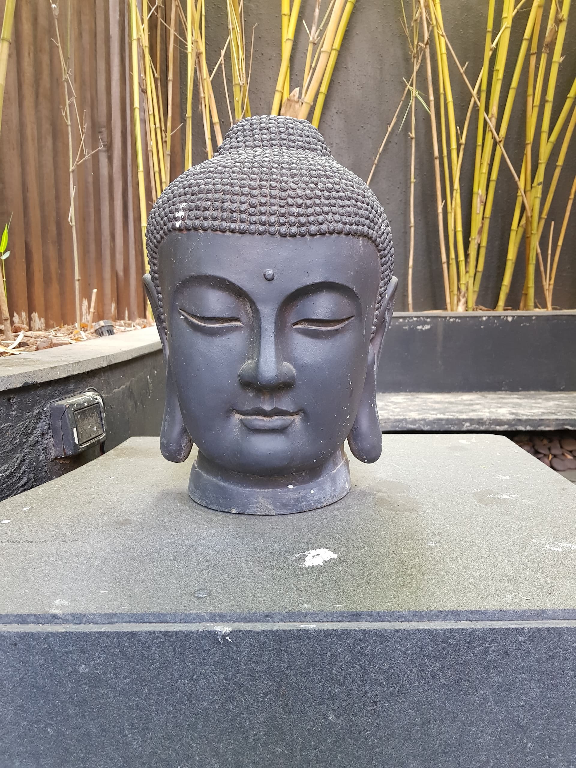 The Buddha (c. 563–483 BC)