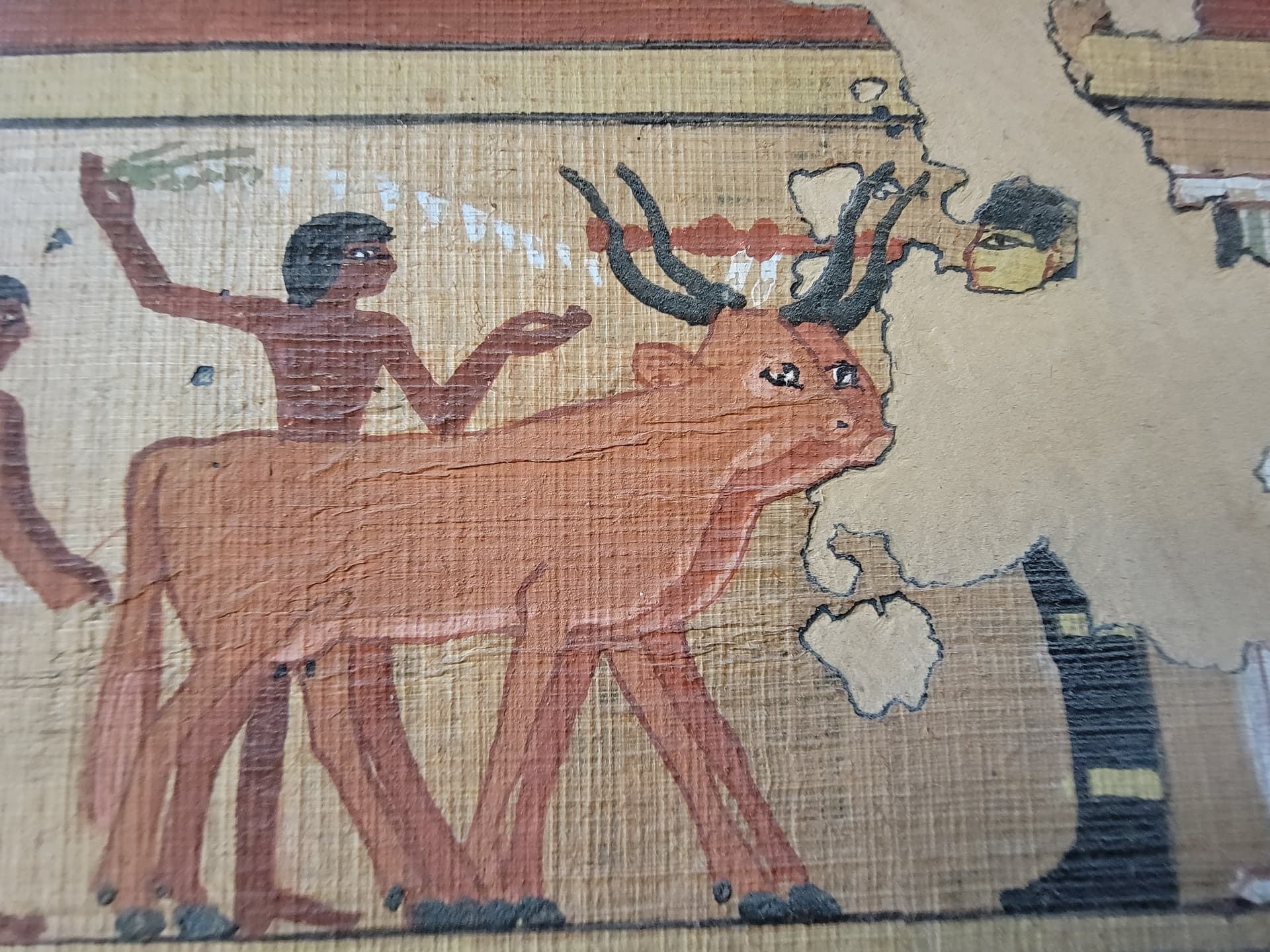 Papyrus