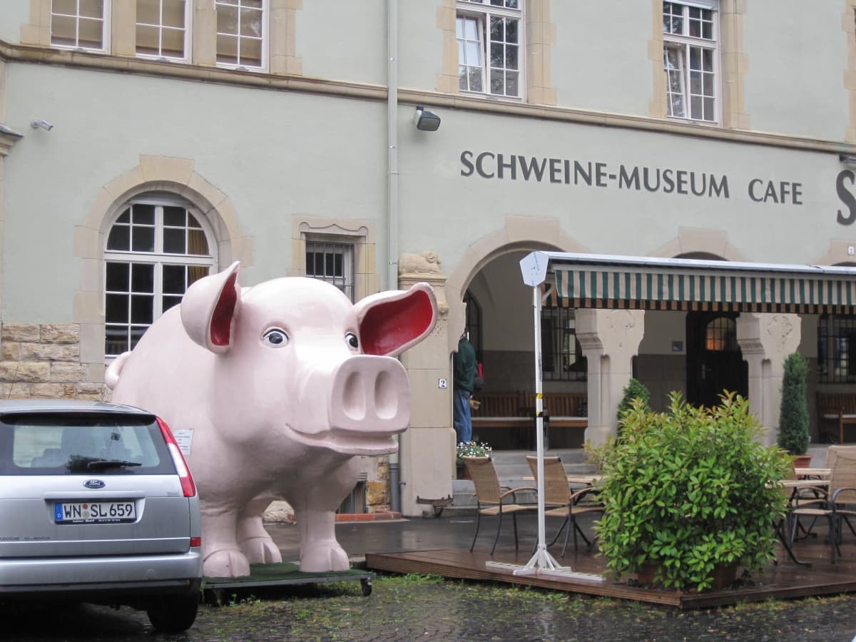 The pig collection