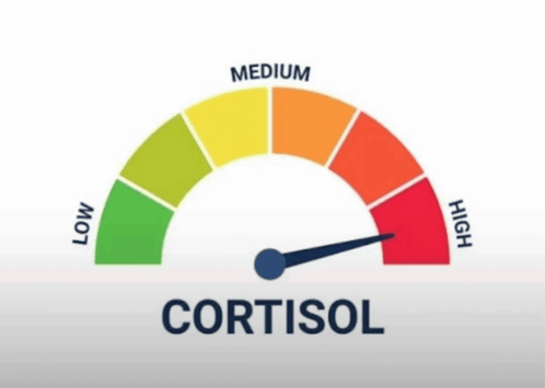 CORTISOL meter (high)