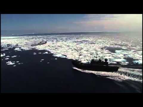 Japanese whaling fleet and Sea Shepherd's first engagement of the campaign