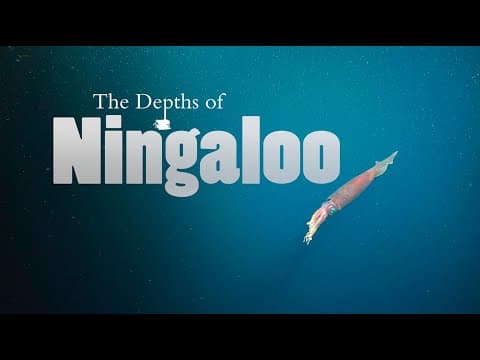 The depths of Ningaloo