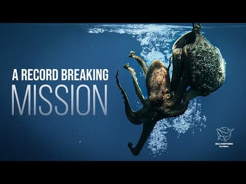 Wrap up of the Greece Octopus Campaign, 2025 - A Record Breaking Mission