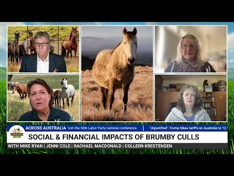 Social & Financial Impacts Of Brumby Culls with The Panel on The Country Telegraph.