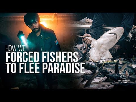 How We Forced Fishers To Flee Paradise