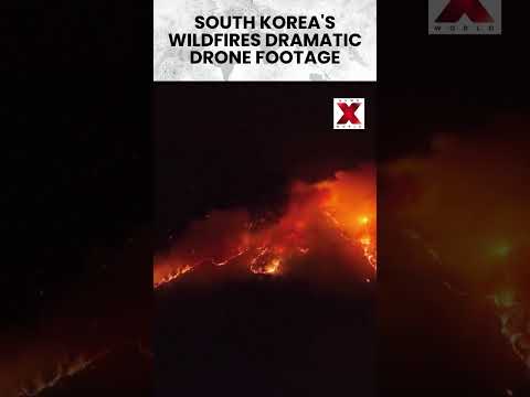 The 2025 South Korea wildfires