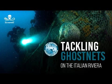 Ghostnet 2023: Italy's Punta Manara