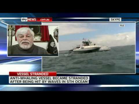 Sea Shepherd vessel to be escorted back to Fremantle, 10 crew safe