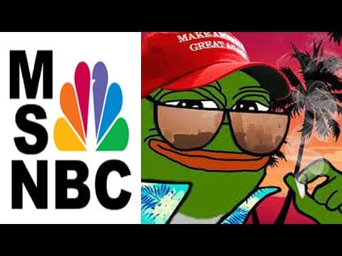 MSNBC segment on Pepe and the 2016 campaign