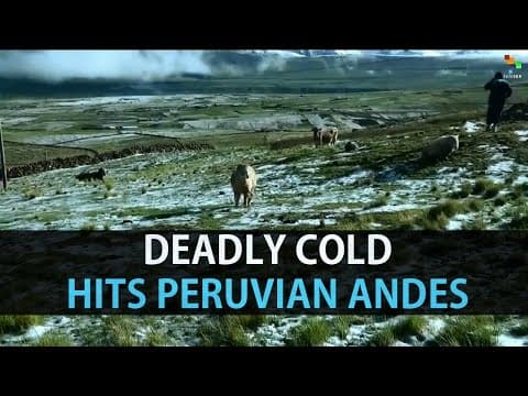 The Andean cold snaps