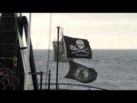 Bob Barker Intercepts the Thunder in the Southern Ocean