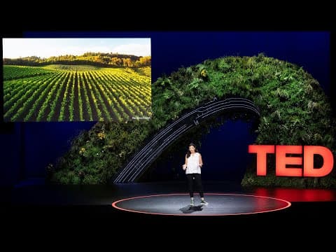 The Hidden Wonders of Soil
