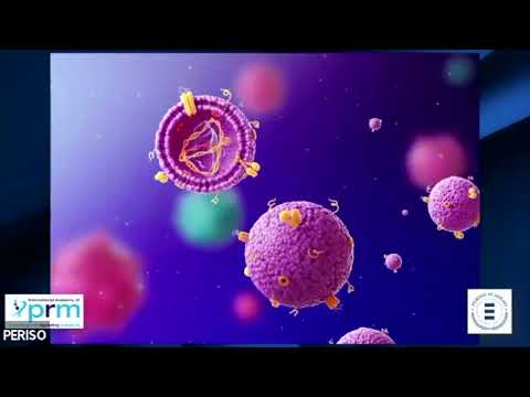 ICDT - Diamagnetotherapy: Neuroplasticity and Neurological Application - Felipe Torres