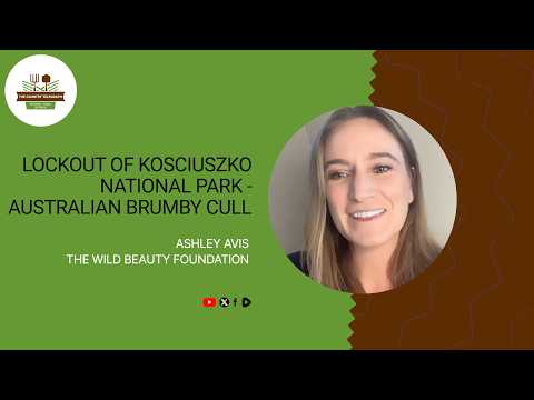 Lockout of Kosciuszko National Park - Australian Brumby Cull & Ashley Avis on The Country Telegraph.