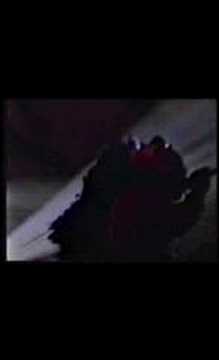 JUNGLE FEVER 1994 DJ RANDALL MC MOOSE