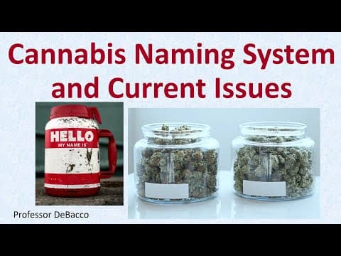 The cannabis naming system and its problems