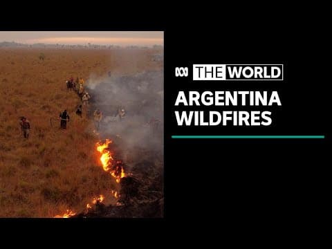 The 2022 Corrientes fires