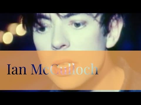 Ian Mcculloch Honey Drip — Ian Mcculloch Honey Drip