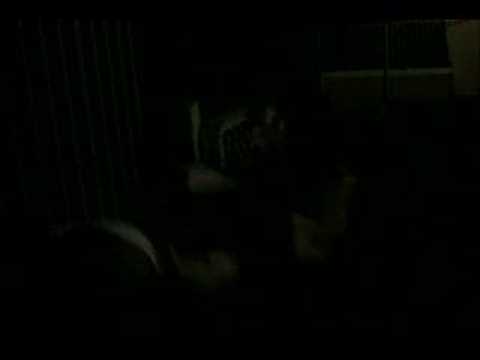 A bar bottle-breaking stunt