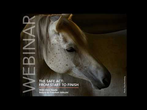 RTF Webinar: The SAFE Act From Start to Finsh