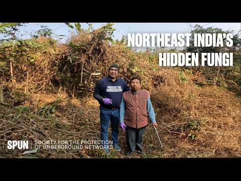 Belowground Biodiversity in Northeast India