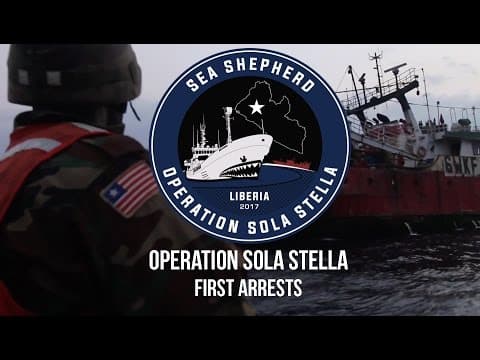 Operation Sola Stella: First Arrests