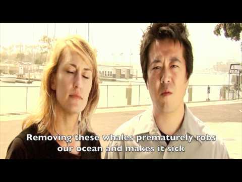 MessageToJapan