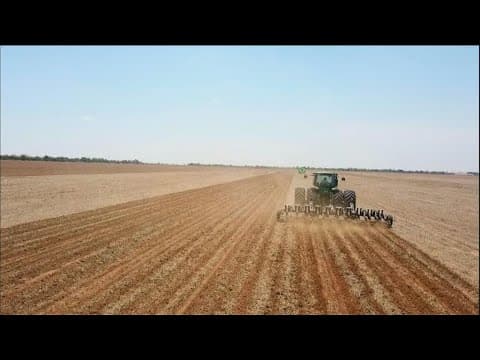 Soy and the frontier