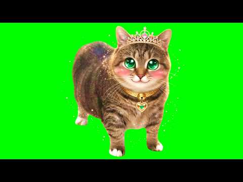 KAWAII - OIIA OIIA (Spinning CAT)