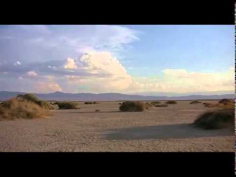Dans Dans - Zephyr