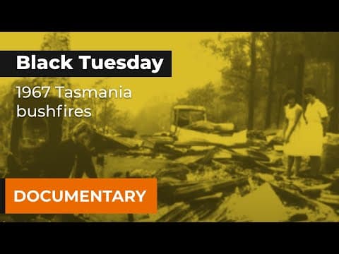 The 1967 Black Tuesday fires