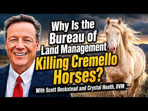 Why Is the Bureau of Land Management Killing Cremello Horses?