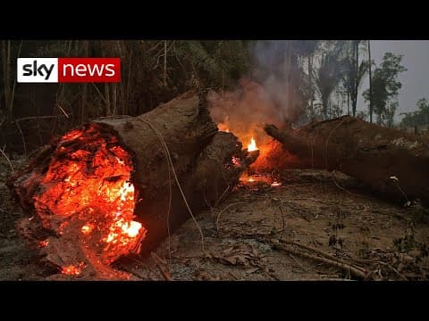 The 2019 Amazon Fires