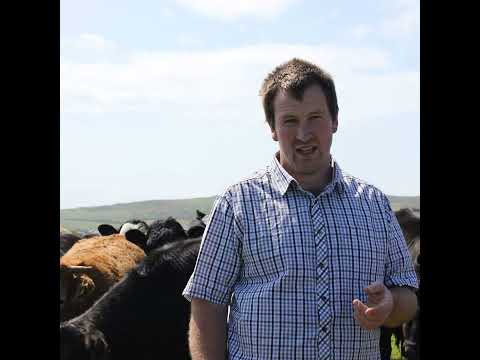 Dairy Farming on the Isle of Man, dung beetles and cheese tasting - with David Cooil