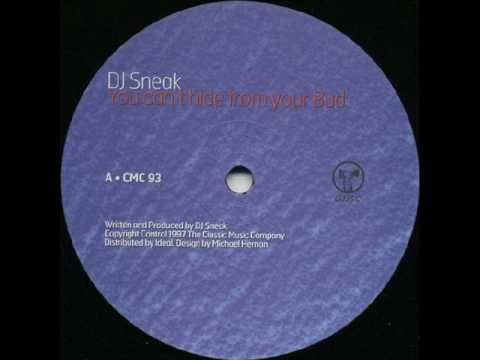 DJ Sneak — "You Can’t Hide From Your Bud"