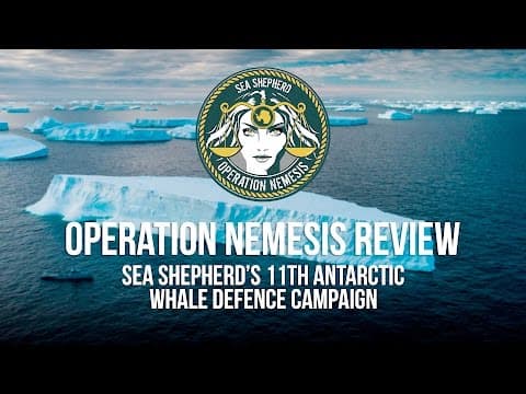 Operation Nemesis: Review