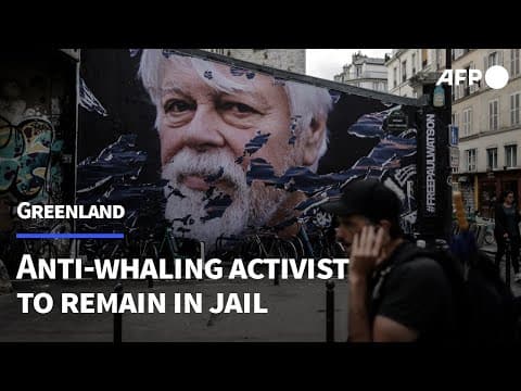 Greenland court extends detention of anti-whaling activist Paul Watson | AFP