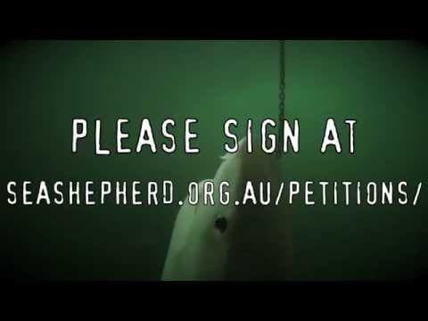 Will you help free the Great Barrier Reef?