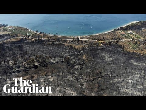 The 2021 Greek wildfires