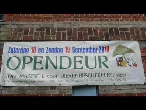 Opendeurdagen in het Citadelpark
