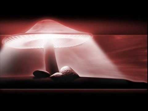 Dr Motte & Westbam -  (Loveparade 2001) Join The Love Republic