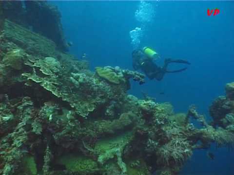 Dive Solomon Islands .Gizo.Wreck Toa Maru