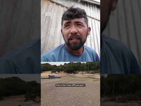 The 2005 Amazon drought