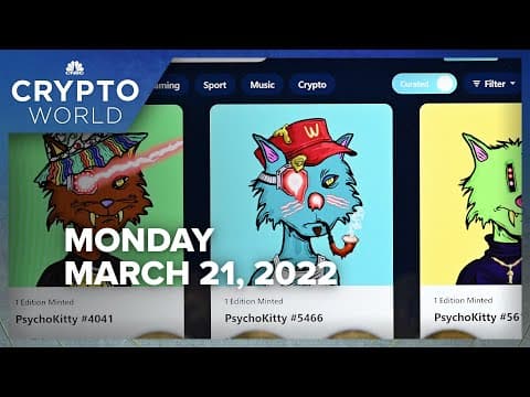 NFT ‘bubble’ has already burst because of flight to quality, says IDX’s McMillan: CNBC Crypto World