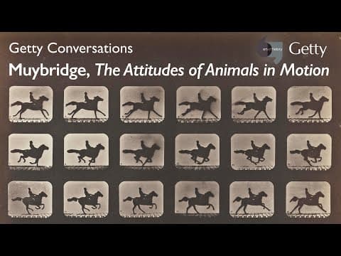 Muybridge, The Attitudes of Animals in Motion
