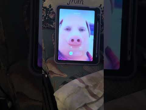 "John Pork is still alive and he’s calling my sister"