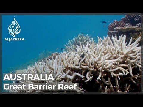 The Great Barrier Reef bleaching