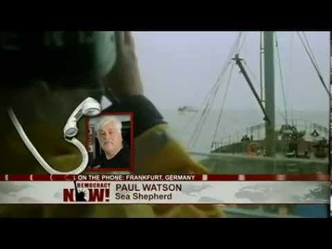 Sea Shepherd Founder Paul Watson Fights Extradition to Costa Rica for 2002 Shark Defense