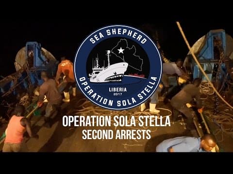 Operation Sola Stella: Second Arrests